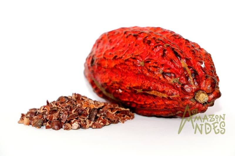 Cacao Nibs organic and conventional from Peru